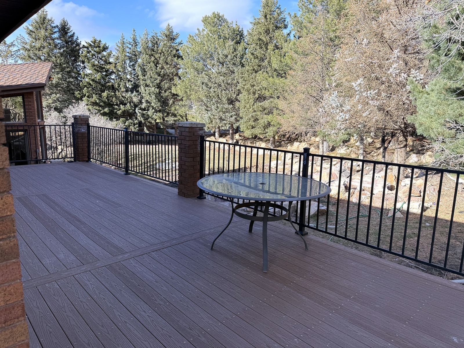 Deck with a black metal railing looking into tall evergreen trees