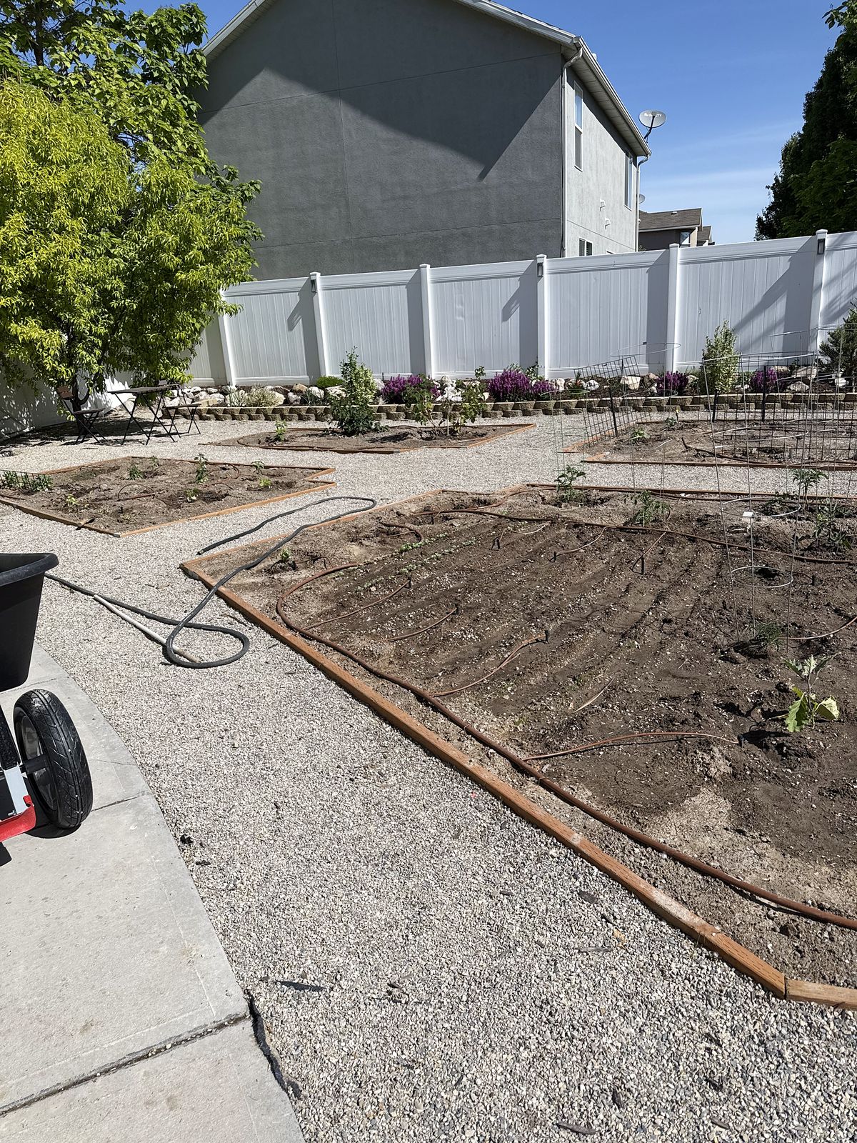 New planting beds with drip irrigation lines and gravel paths along the fence